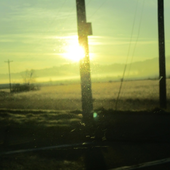 Meet your Posher, Patrick - Picture 3 of 4